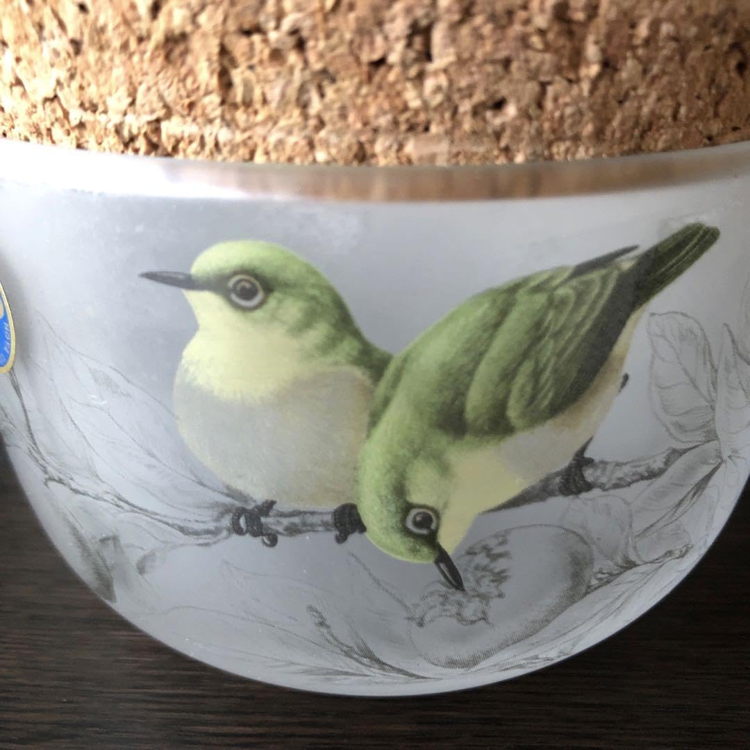 Amazon.co.jp: HOYA 森上義孝 日本の野鳥 マグカップ ガラス容器